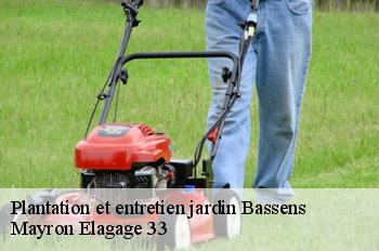 Plantation et entretien jardin bassens-33530 Mayron Elagage 33