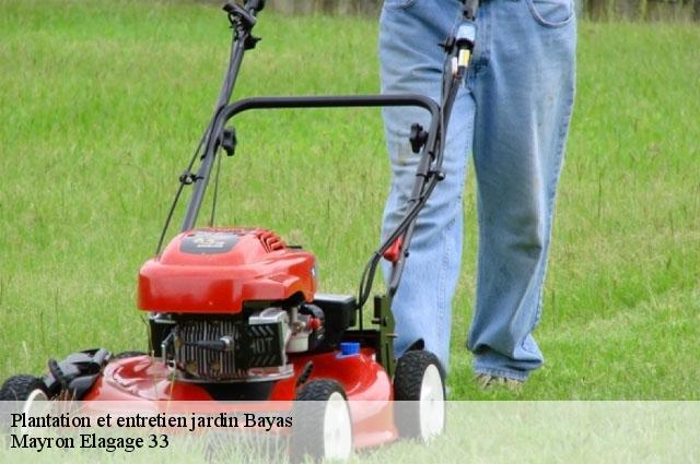 Plantation et entretien jardin  bayas-33230 Mayron Elagage 33