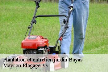 Plantation et entretien jardin bayas-33230 Mayron Elagage 33