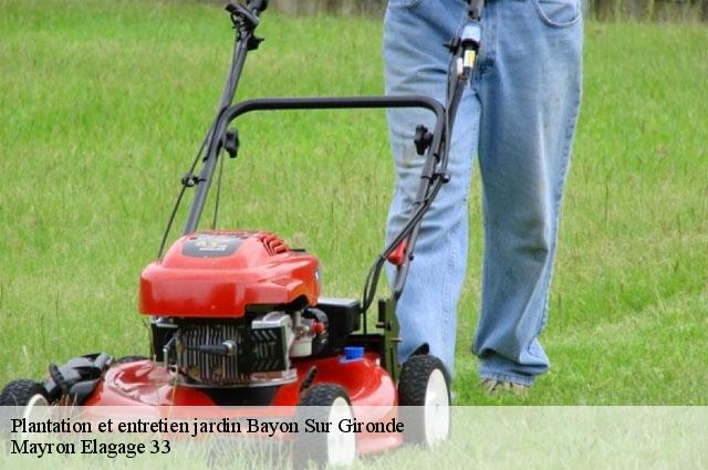 Plantation et entretien jardin  bayon-sur-gironde-33710 Mayron Elagage 33
