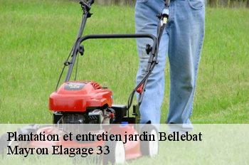 Plantation et entretien jardin  bellebat-33760 Mayron Elagage 33