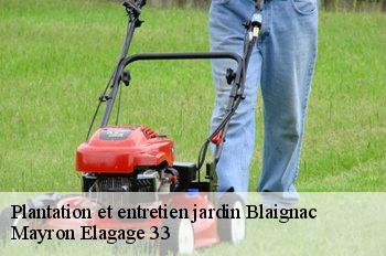 Plantation et entretien jardin  blaignac-33190 Mayron Elagage 33