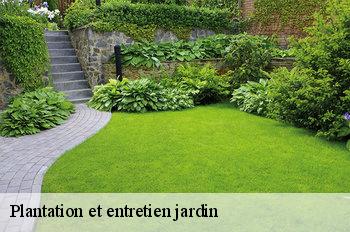 Plantation et entretien jardin