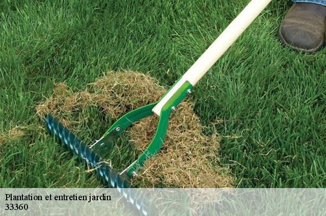 Plantation et entretien jardin 33360