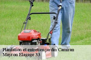 Plantation et entretien jardin camiran-33190 Mayron Elagage 33