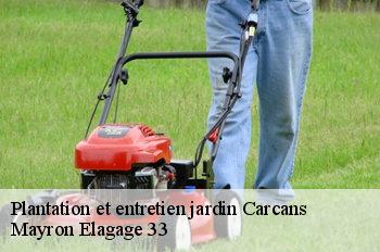 Plantation et entretien jardin carcans-33121 Mayron Elagage 33