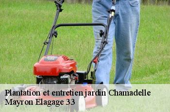 Plantation et entretien jardin chamadelle-33230 Mayron Elagage 33