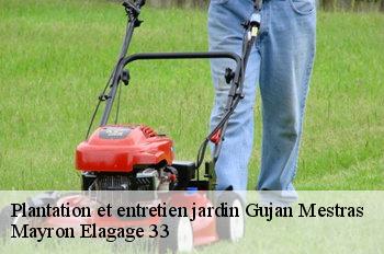Plantation et entretien jardin gujan-mestras-33470 Mayron Elagage 33