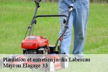 Plantation et entretien jardin labescau-33690 Mayron Elagage 33