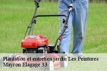 Plantation et entretien jardin les-peintures-33230 Mayron Elagage 33
