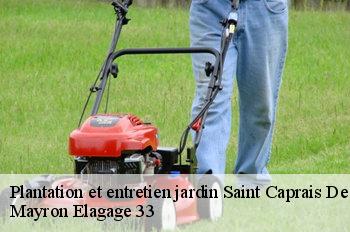 Plantation et entretien jardin saint-caprais-de-blaye-33820 Mayron Elagage 33