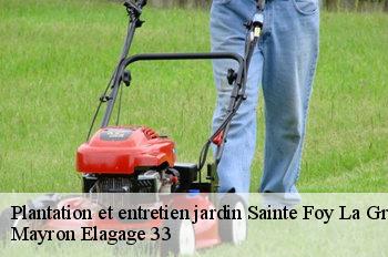 Plantation et entretien jardin sainte-foy-la-grande-33220 Mayron Elagage 33