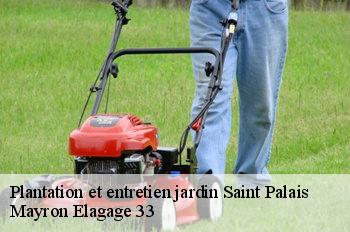 Plantation et entretien jardin saint-palais-33820 Mayron Elagage 33