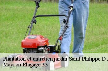 Plantation et entretien jardin saint-philippe-d-aiguille-33350 Mayron Elagage 33