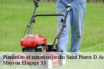 Plantation et entretien jardin saint-pierre-d-aurillac-33490 Mayron Elagage 33