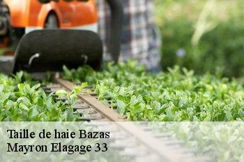 Taille de haie bazas-33430 Mayron Elagage 33