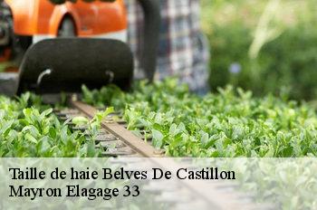 Taille de haie belves-de-castillon-33350 Mayron Elagage 33
