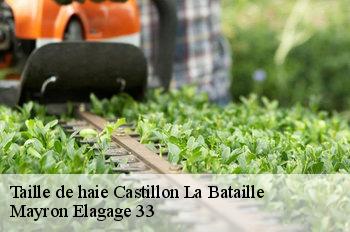 Taille de haie castillon-la-bataille-33350 Mayron Elagage 33