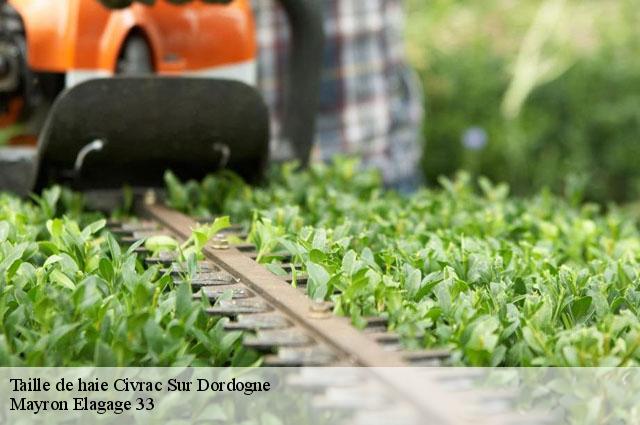 Taille de haie civrac-sur-dordogne-33350 Mayron Elagage 33