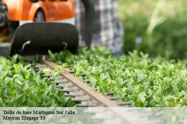 Taille de haie martignas-sur-jalle-33127 Mayron Elagage 33