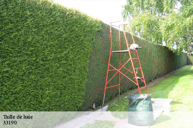 Taille de haie 33190