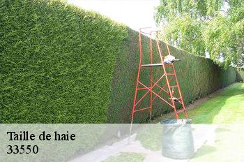 Taille de haie  33550