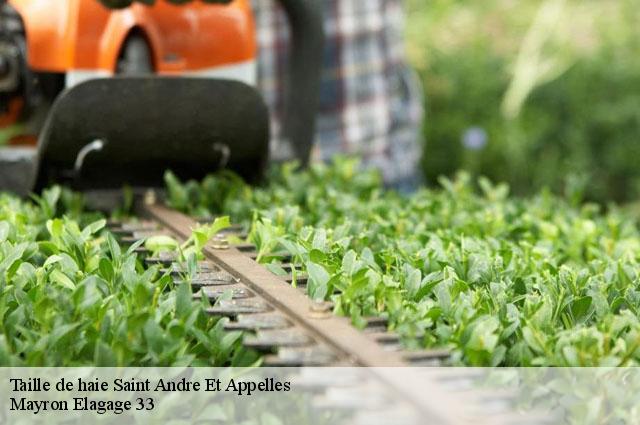 Taille de haie saint-andre-et-appelles-33220 Mayron Elagage 33