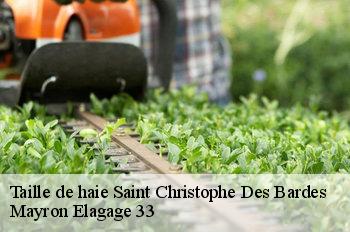 Taille de haie  saint-christophe-des-bardes-33330 Mayron Elagage 33