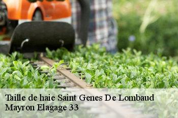 Taille de haie saint-genes-de-lombaud-33670 Mayron Elagage 33