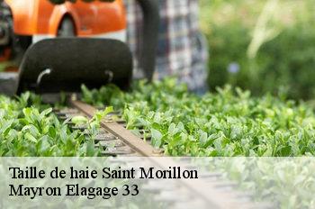 Taille de haie  saint-morillon-33650 Mayron Elagage 33
