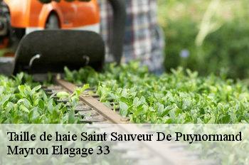 Taille de haie saint-sauveur-de-puynormand-33660 Mayron Elagage 33