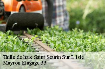 Taille de haie saint-seurin-sur-l-isle-33660 Mayron Elagage 33