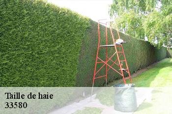 Taille de haie 33580