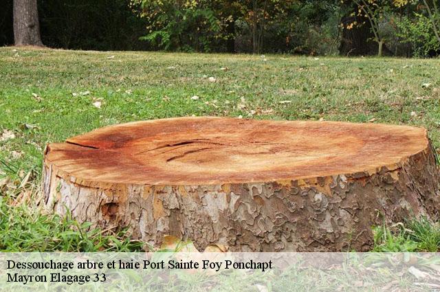 Dessouchage arbre et haie  port-sainte-foy-ponchapt-33220 Mayron Elagage 33