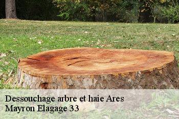 Dessouchage arbre et haie ares-33740 Mayron Elagage 33