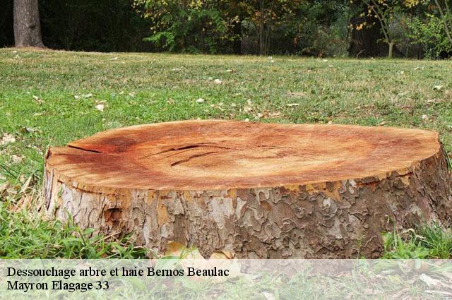 Dessouchage arbre et haie  bernos-beaulac-33430 Mayron Elagage 33