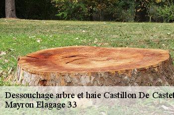 Dessouchage arbre et haie  castillon-de-castets-33210 Mayron Elagage 33