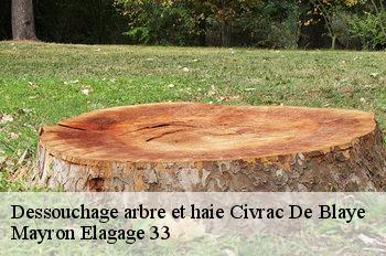 Dessouchage arbre et haie civrac-de-blaye-33920 Mayron Elagage 33
