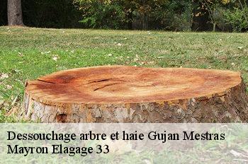 Dessouchage arbre et haie gujan-mestras-33470 Mayron Elagage 33