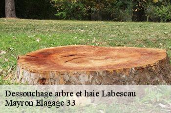 Dessouchage arbre et haie labescau-33690 Mayron Elagage 33
