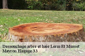 Dessouchage arbre et haie lerm-et-musset-33840 Mayron Elagage 33