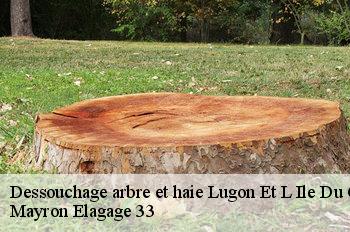 Dessouchage arbre et haie lugon-et-l-ile-du-carnay-33240 Mayron Elagage 33