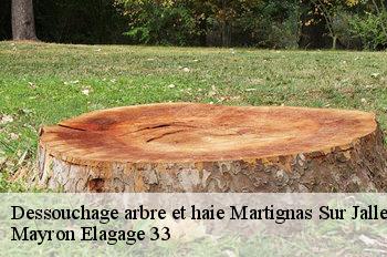 Dessouchage arbre et haie martignas-sur-jalle-33127 Mayron Elagage 33