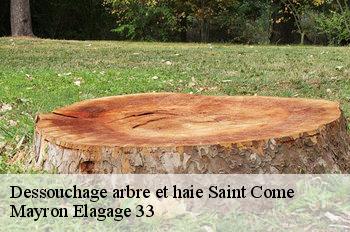 Dessouchage arbre et haie saint-come-33430 Mayron Elagage 33