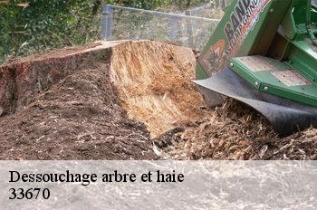 Dessouchage arbre et haie  33670