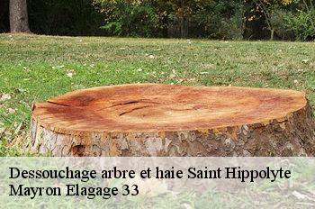 Dessouchage arbre et haie saint-hippolyte-33330 Mayron Elagage 33