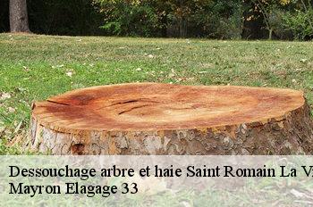 Dessouchage arbre et haie saint-romain-la-virvee-33240 Mayron Elagage 33