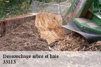 Dessouchage arbre et haie  33113