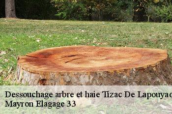 Dessouchage arbre et haie tizac-de-lapouyade-33620 Mayron Elagage 33