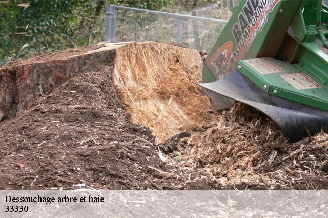 Dessouchage arbre et haie 33330